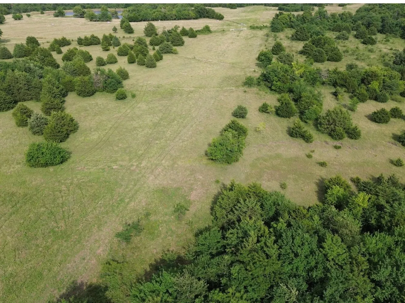 Unimproved Land For Sale in Hunt County , 4081 FM 2736 C, Campbell, Texas 75422, 0, 0, Garage spaces, 0 Sqft, built in 0, mls#21399810, Real Estate Agent in Campbell, Homes For Sale in Hunt county, Homes For Sale in Campbell, Realtor in Campbell Texas, Real Estate Brokerage Independent Realty Texas, Luminita Cordes Realtor