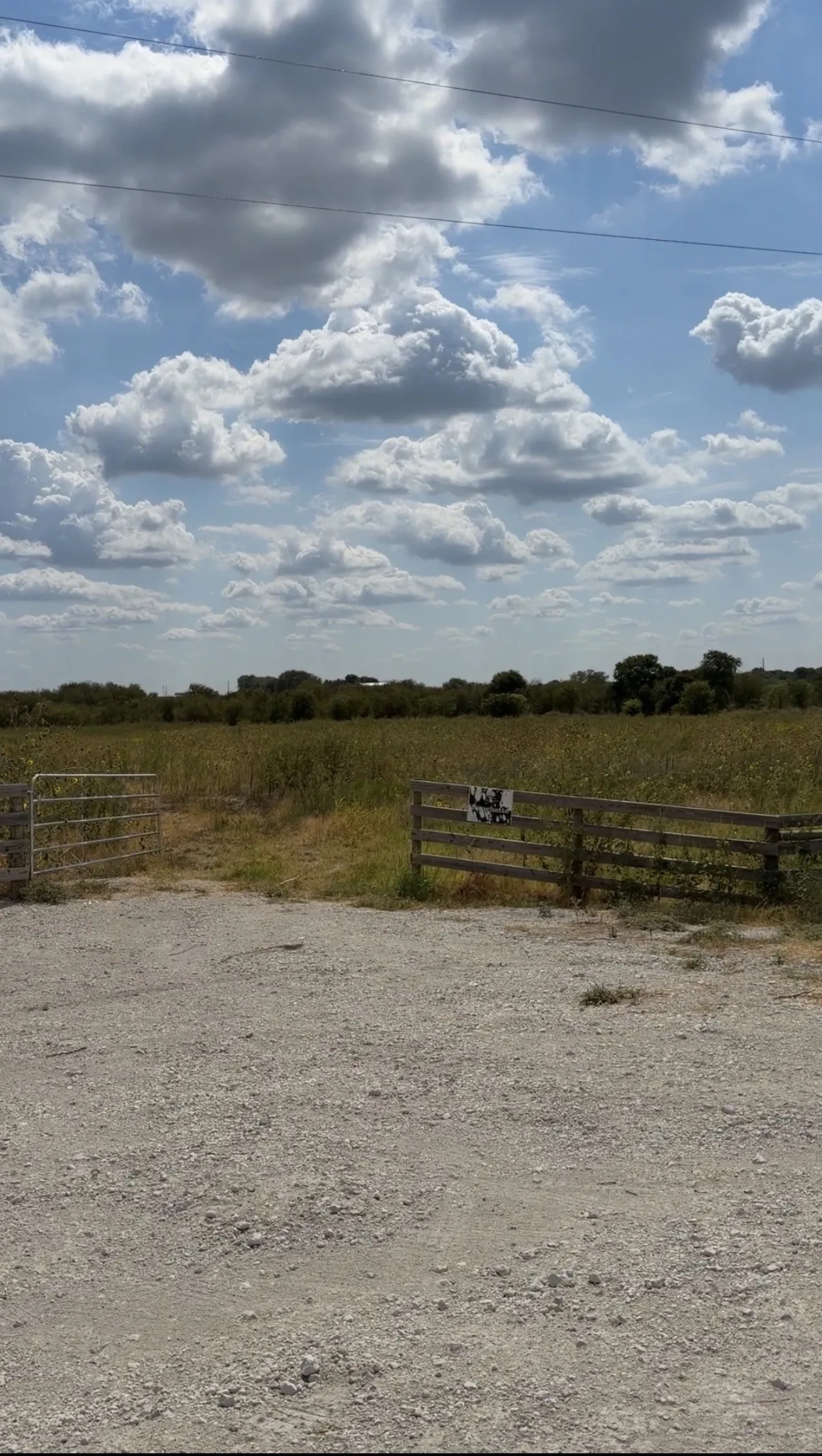 Ranch For Sale in Hill County , 1627 Hill County Road 4242 N, Itasca, Texas 76055, 0, 0, Garage spaces, 0 Sqft, built in 0, mls#21398678, Real Estate Agent in Itasca, Homes For Sale in Hill county, Homes For Sale in Itasca, Realtor in Itasca Texas, Real Estate Brokerage Independent Realty Texas, Luminita Cordes Realtor