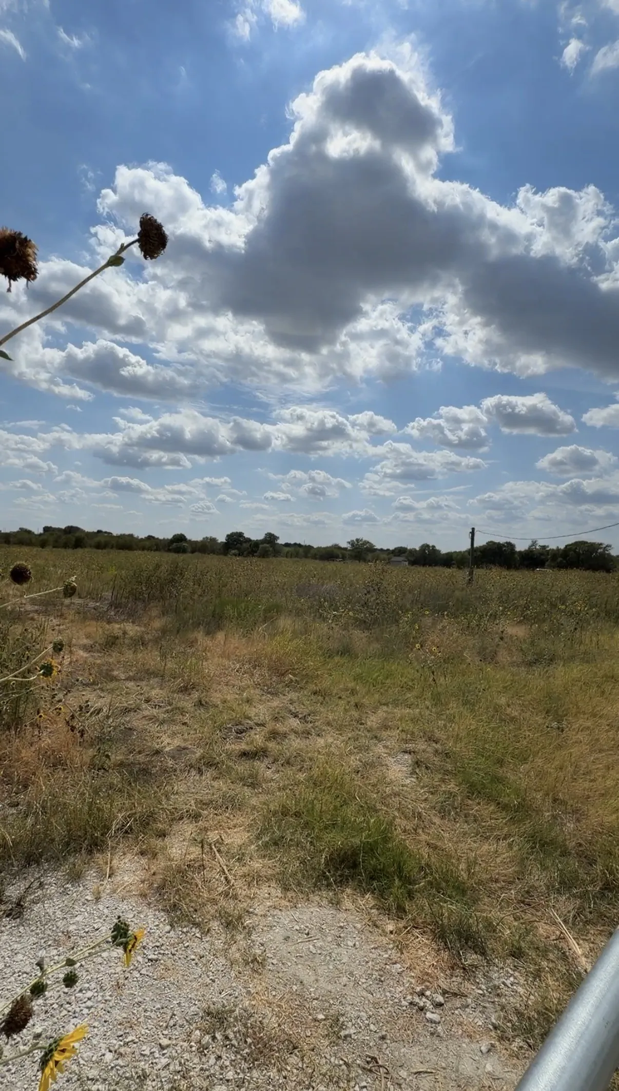 Ranch For Sale in Hill County , 1627 Hill County Road 4242 N, Itasca, Texas 76055, 0, 0, Garage spaces, 0 Sqft, built in 0, mls#21398678, Real Estate Agent in Itasca, Homes For Sale in Hill county, Homes For Sale in Itasca, Realtor in Itasca Texas, Real Estate Brokerage Independent Realty Texas, Luminita Cordes Realtor