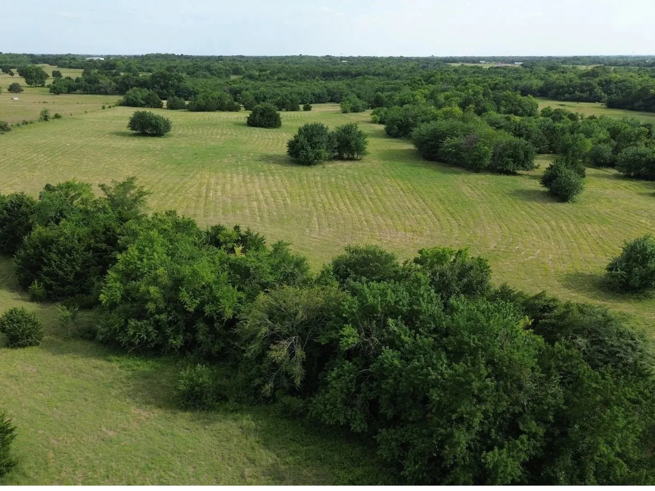 Unimproved Land For Sale in Hunt County , 4081 FM 2736 B, Campbell, Texas 75422, 0, 0, Garage spaces, 0 Sqft, built in 0, mls#21399804, Real Estate Agent in Campbell, Homes For Sale in Hunt county, Homes For Sale in Campbell, Realtor in Campbell Texas, Real Estate Brokerage Independent Realty Texas, Luminita Cordes Realtor