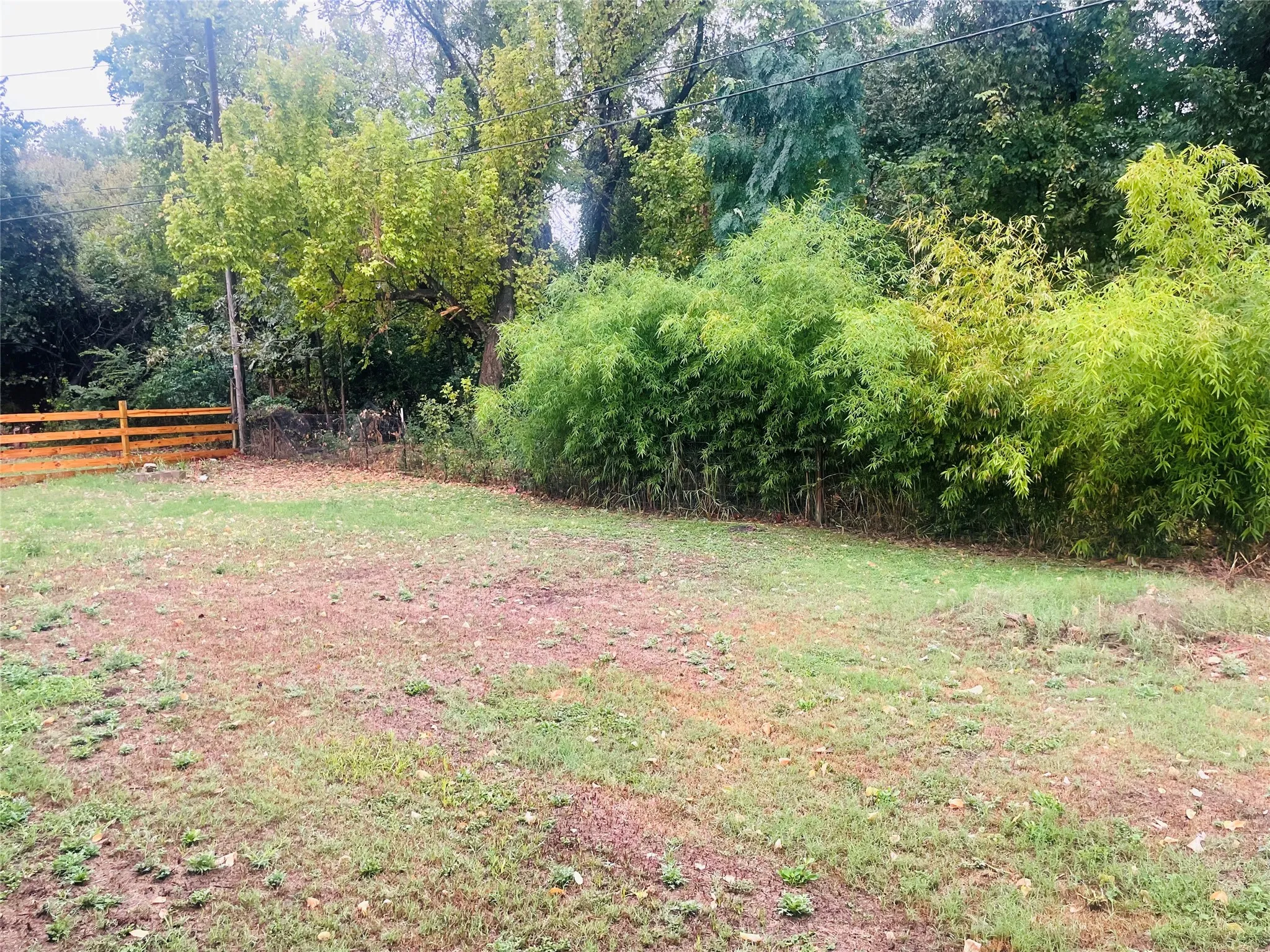 Back yard ~ great for chickens and a garden, too!