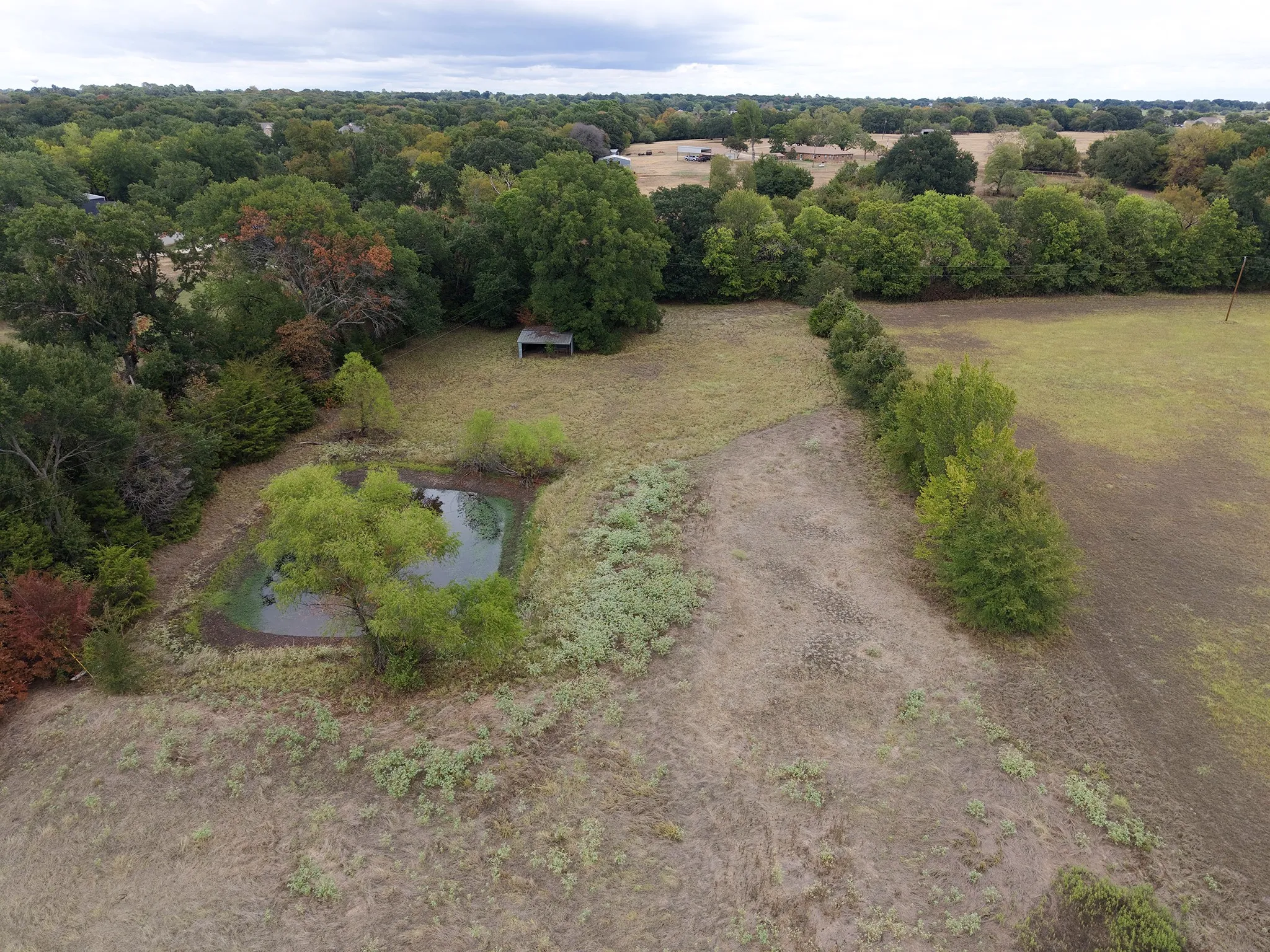 Expanse of land featuring a pond, established trees, and a utility shed