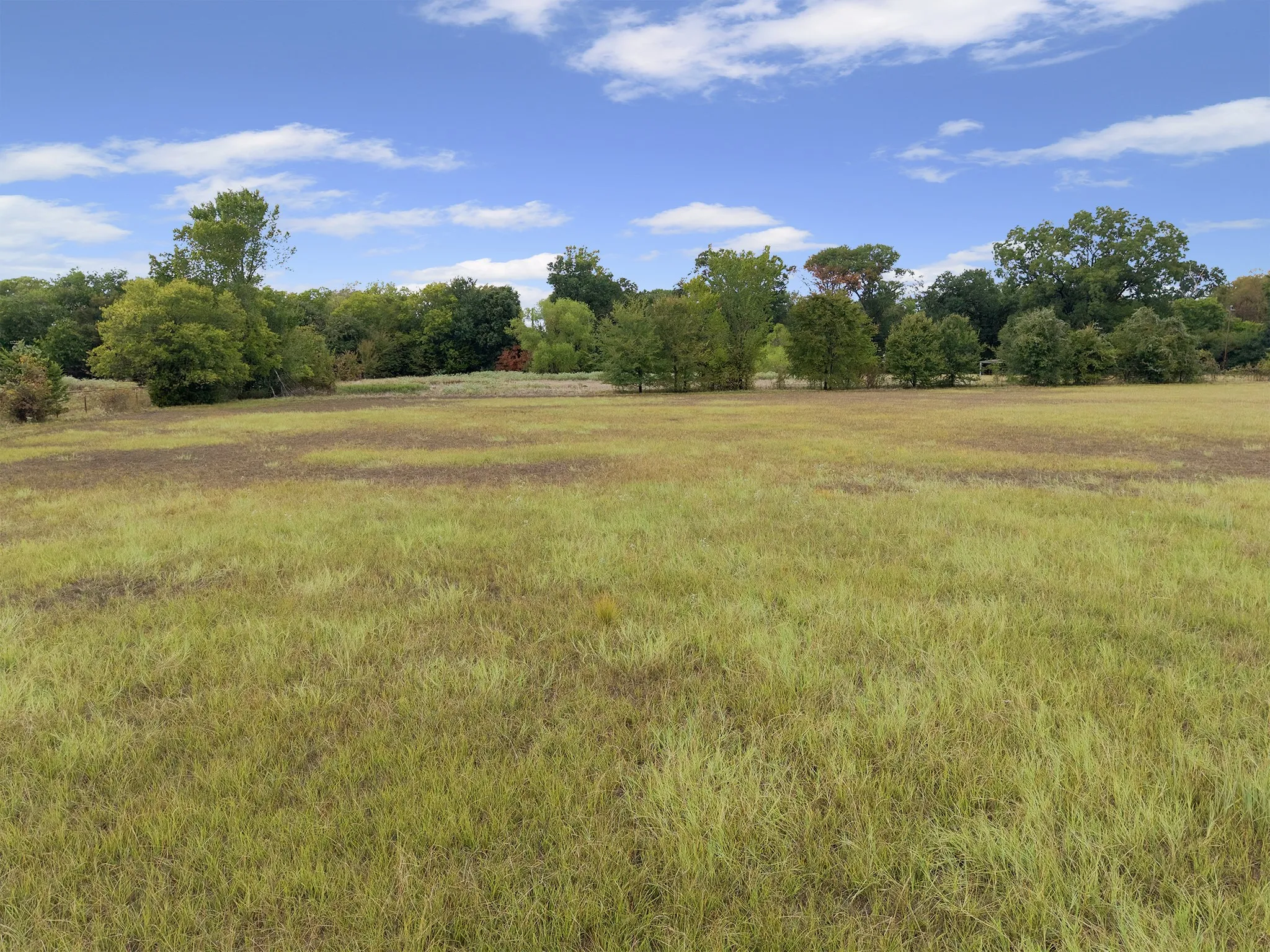 Expansive open field with natural grass and a perimeter of mature trees