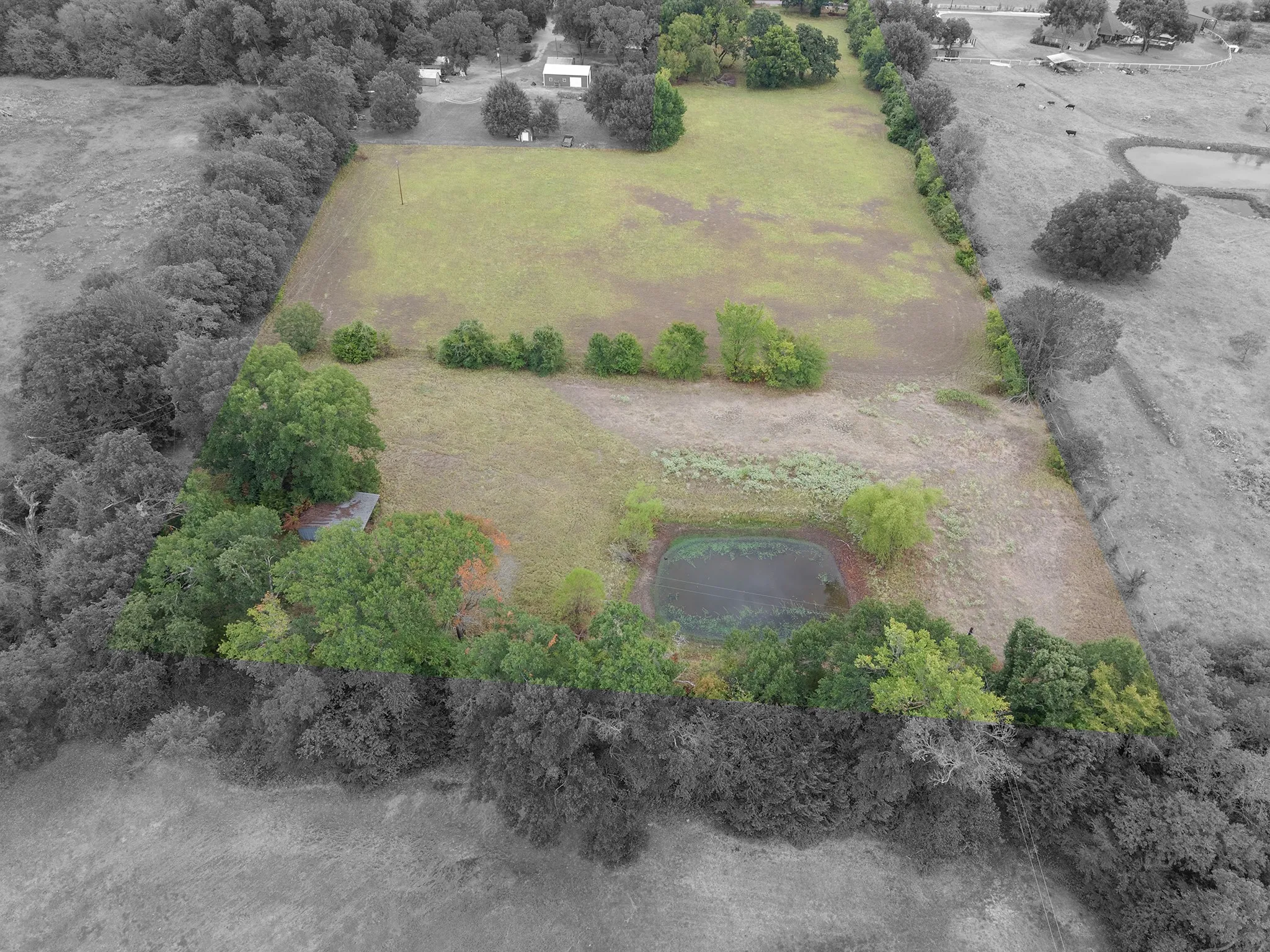 Expansive parcel featuring a large grassy field, mature perimeter trees, and a natural pond