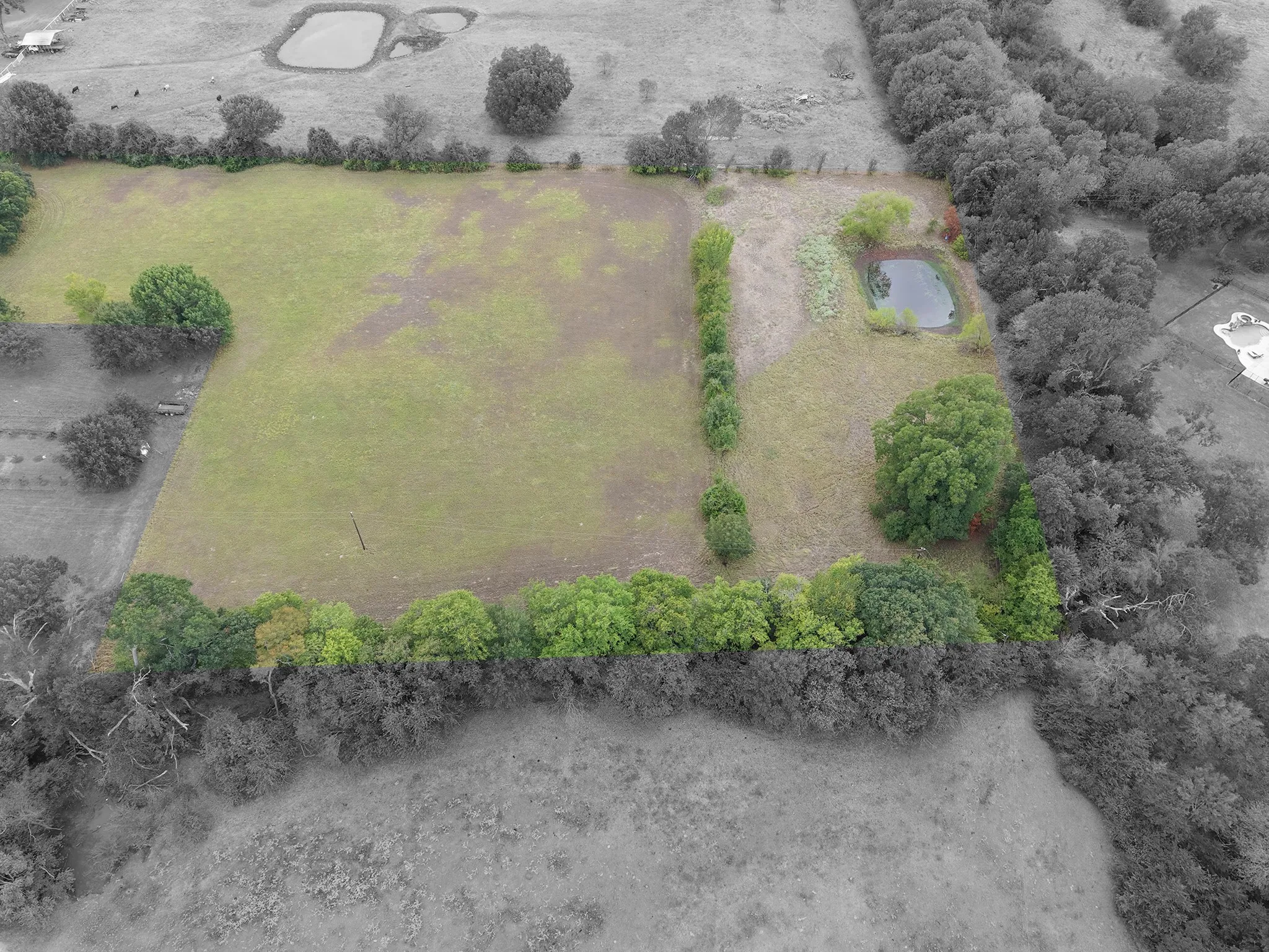 Expansive green spaces featuring mature trees and a natural water feature
