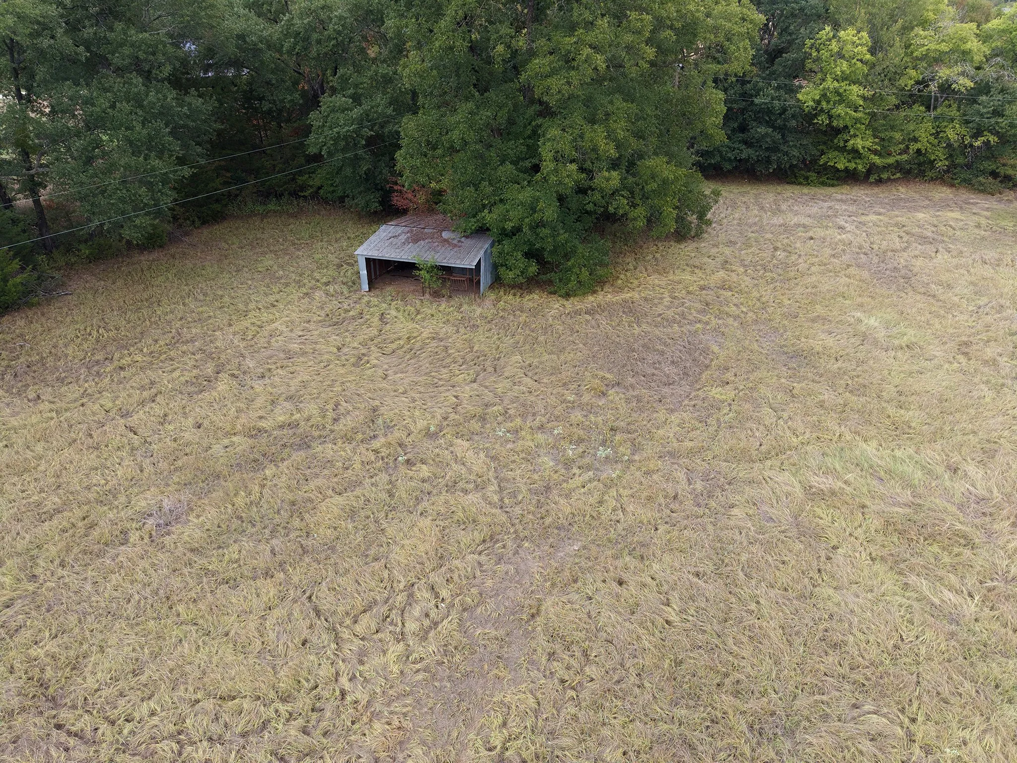 Expansive open land featuring mature trees and a metal-roofed outbuilding
