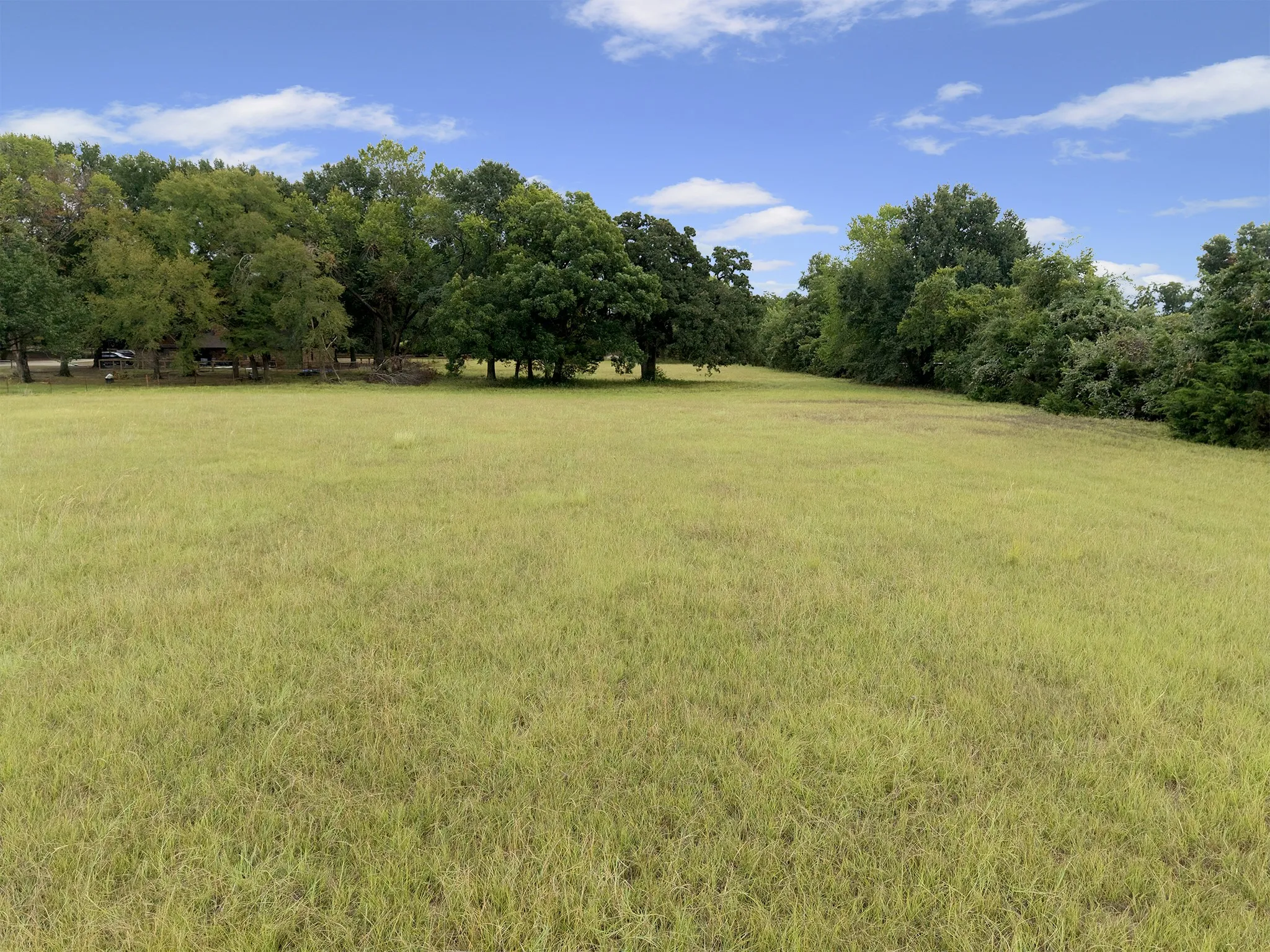 Expansive grass field bordered by mature trees
