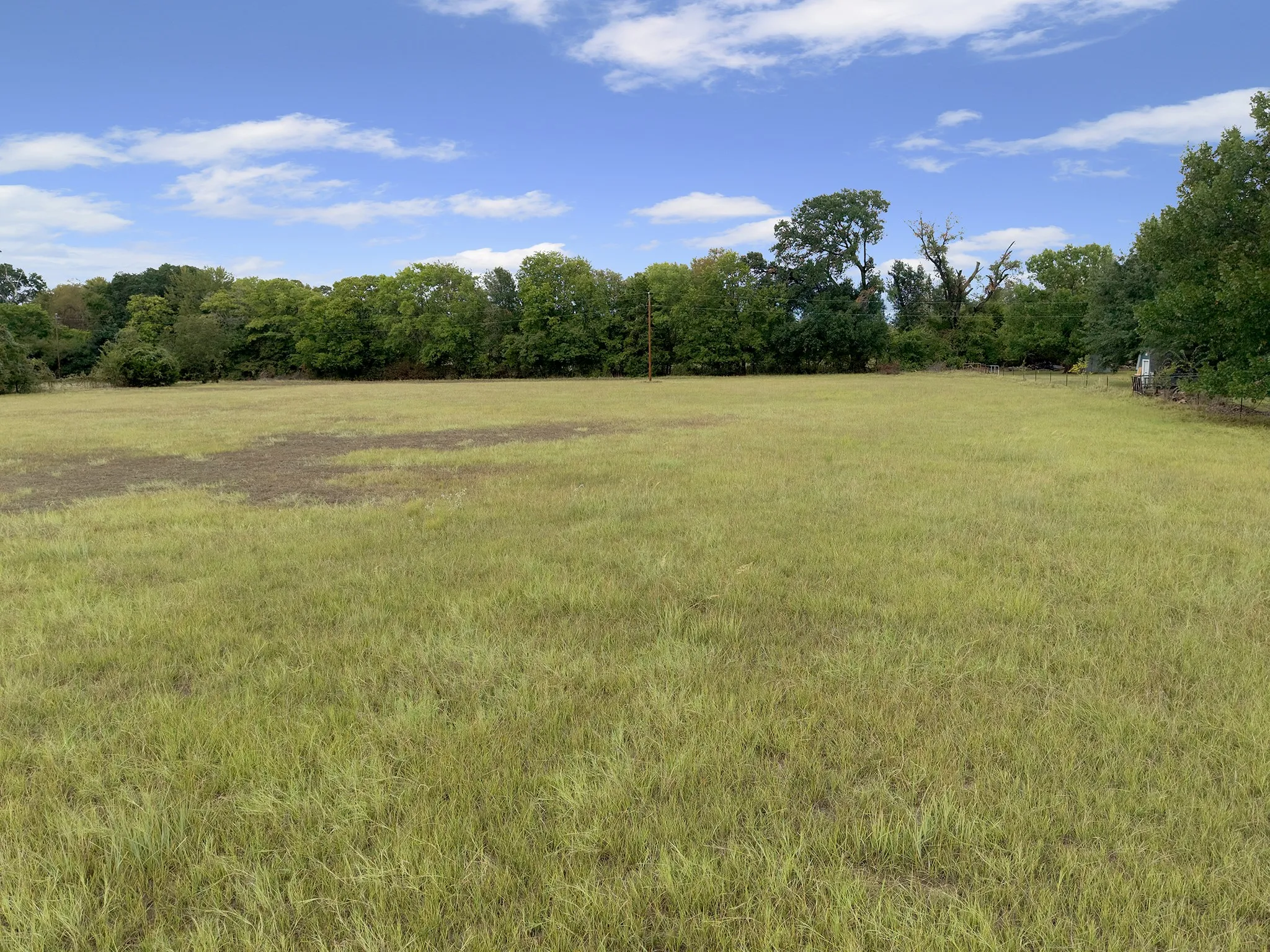 Expansive grassy field with a perimeter of mature trees