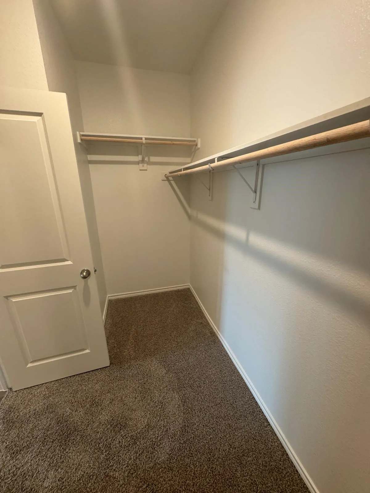 Spacious closet featuring dark colored carpet