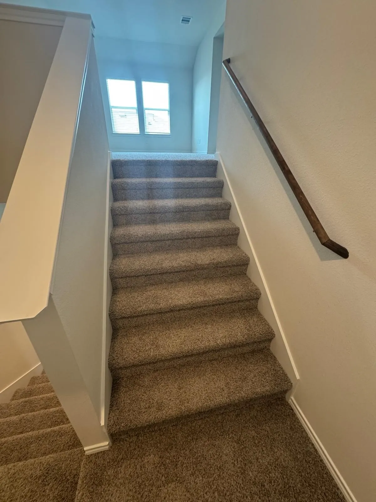 Stairs with carpet and baseboards