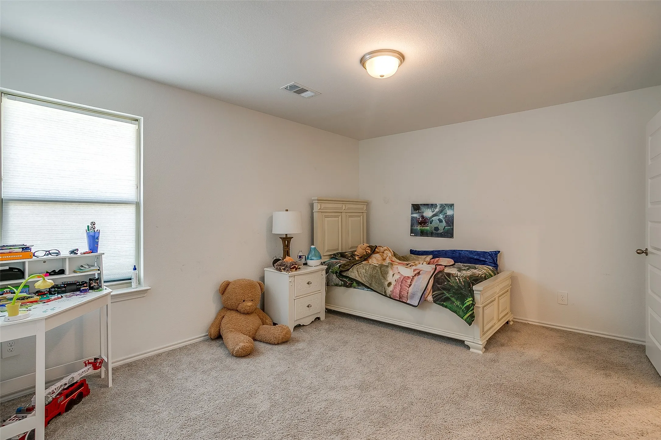 Plush carpeted flooring, a single window with blinds, a ceiling-mounted light fixture, and a paneled door