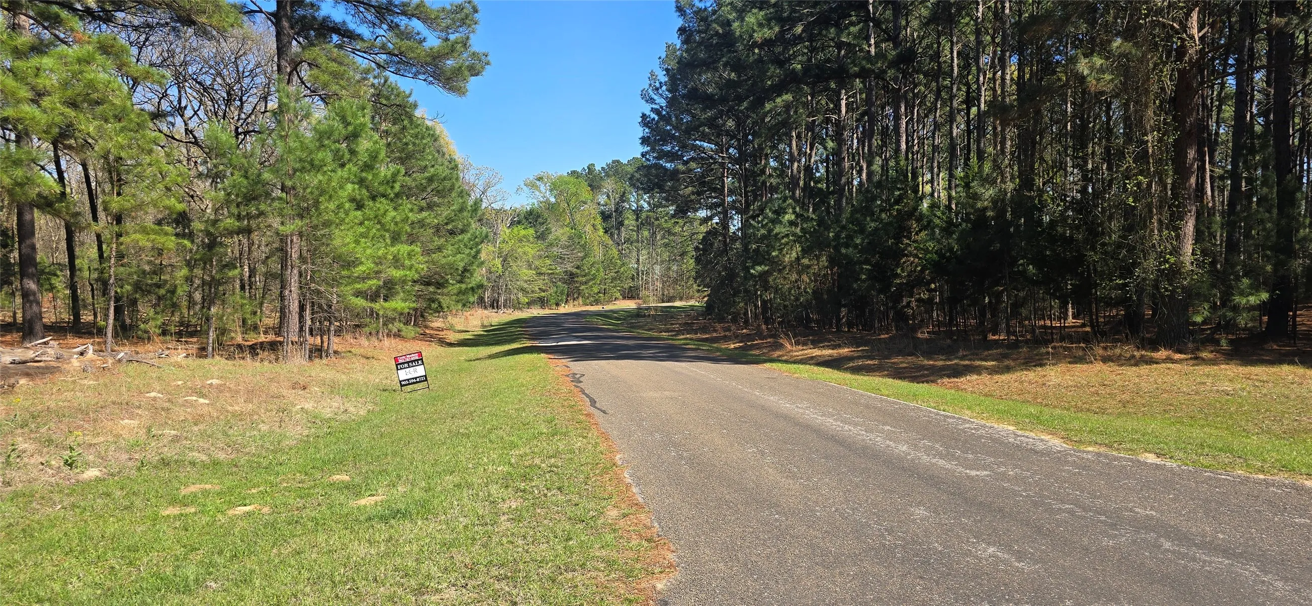 Paved road frontage with mature evergreen trees, expansive grassy area, and natural wooded surroundings