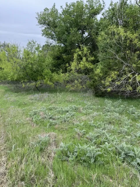 Unimproved Land For Sale in Hill County , 17082 Faircrest Drive, Whitney, Texas 76692, 0, 0, Garage spaces, 0 Sqft, built in 0, mls#21396630, Real Estate Agent in Whitney, Homes For Sale in Hill county, Homes For Sale in Whitney, Realtor in Whitney Texas, Real Estate Brokerage Independent Realty Texas, Luminita Cordes Realtor