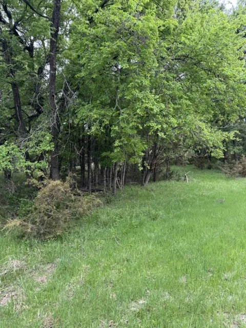 Unimproved Land For Sale in Hill County , 17082 Faircrest Drive, Whitney, Texas 76692, 0, 0, Garage spaces, 0 Sqft, built in 0, mls#21396630, Real Estate Agent in Whitney, Homes For Sale in Hill county, Homes For Sale in Whitney, Realtor in Whitney Texas, Real Estate Brokerage Independent Realty Texas, Luminita Cordes Realtor