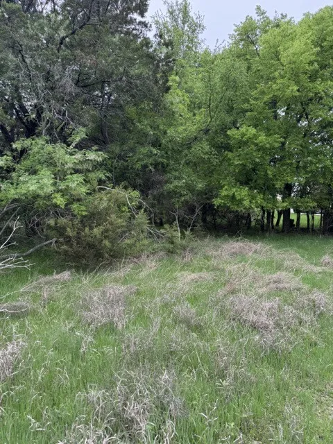 Unimproved Land For Sale in Hill County , 17082 Faircrest Drive, Whitney, Texas 76692, 0, 0, Garage spaces, 0 Sqft, built in 0, mls#21396630, Real Estate Agent in Whitney, Homes For Sale in Hill county, Homes For Sale in Whitney, Realtor in Whitney Texas, Real Estate Brokerage Independent Realty Texas, Luminita Cordes Realtor