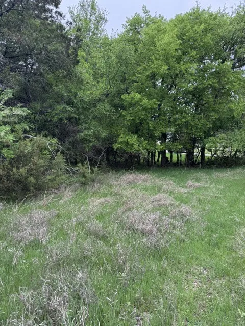 Unimproved Land For Sale in Hill County , 17082 Faircrest Drive, Whitney, Texas 76692, 0, 0, Garage spaces, 0 Sqft, built in 0, mls#21396630, Real Estate Agent in Whitney, Homes For Sale in Hill county, Homes For Sale in Whitney, Realtor in Whitney Texas, Real Estate Brokerage Independent Realty Texas, Luminita Cordes Realtor