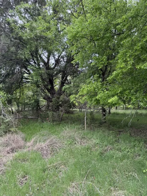 Unimproved Land For Sale in Hill County , 17082 Faircrest Drive, Whitney, Texas 76692, 0, 0, Garage spaces, 0 Sqft, built in 0, mls#21396630, Real Estate Agent in Whitney, Homes For Sale in Hill county, Homes For Sale in Whitney, Realtor in Whitney Texas, Real Estate Brokerage Independent Realty Texas, Luminita Cordes Realtor