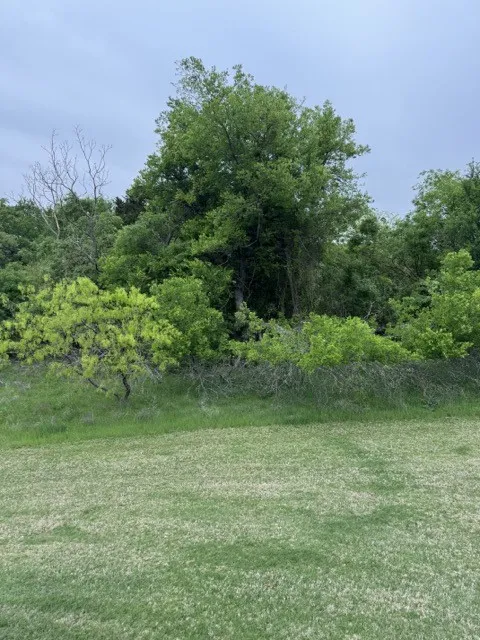 Unimproved Land For Sale in Hill County , 17082 Faircrest Drive, Whitney, Texas 76692, 0, 0, Garage spaces, 0 Sqft, built in 0, mls#21396630, Real Estate Agent in Whitney, Homes For Sale in Hill county, Homes For Sale in Whitney, Realtor in Whitney Texas, Real Estate Brokerage Independent Realty Texas, Luminita Cordes Realtor