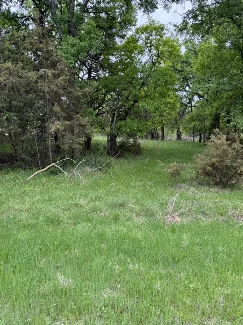 Unimproved Land For Sale in Hill County , 17082 Faircrest Drive, Whitney, Texas 76692, 0, 0, Garage spaces, 0 Sqft, built in 0, mls#21396630, Real Estate Agent in Whitney, Homes For Sale in Hill county, Homes For Sale in Whitney, Realtor in Whitney Texas, Real Estate Brokerage Independent Realty Texas, Luminita Cordes Realtor