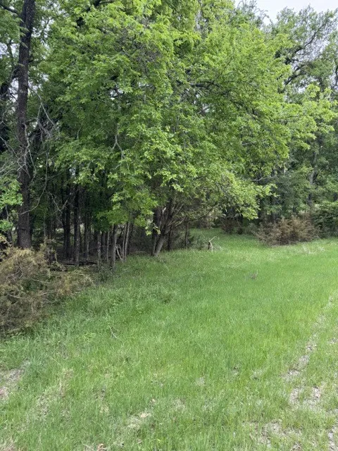 Unimproved Land For Sale in Hill County , 17082 Faircrest Drive, Whitney, Texas 76692, 0, 0, Garage spaces, 0 Sqft, built in 0, mls#21396630, Real Estate Agent in Whitney, Homes For Sale in Hill county, Homes For Sale in Whitney, Realtor in Whitney Texas, Real Estate Brokerage Independent Realty Texas, Luminita Cordes Realtor