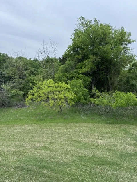 Unimproved Land For Sale in Hill County , 17082 Faircrest Drive, Whitney, Texas 76692, 0, 0, Garage spaces, 0 Sqft, built in 0, mls#21396630, Real Estate Agent in Whitney, Homes For Sale in Hill county, Homes For Sale in Whitney, Realtor in Whitney Texas, Real Estate Brokerage Independent Realty Texas, Luminita Cordes Realtor