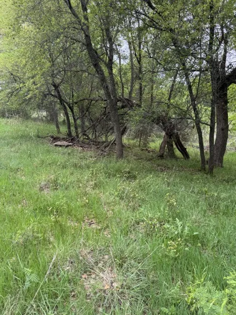 Unimproved Land For Sale in Hill County , 17082 Faircrest Drive, Whitney, Texas 76692, 0, 0, Garage spaces, 0 Sqft, built in 0, mls#21396630, Real Estate Agent in Whitney, Homes For Sale in Hill county, Homes For Sale in Whitney, Realtor in Whitney Texas, Real Estate Brokerage Independent Realty Texas, Luminita Cordes Realtor