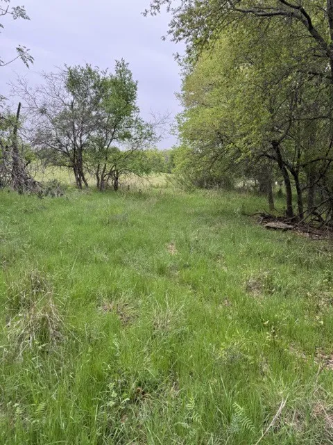 Unimproved Land For Sale in Hill County , 17082 Faircrest Drive, Whitney, Texas 76692, 0, 0, Garage spaces, 0 Sqft, built in 0, mls#21396630, Real Estate Agent in Whitney, Homes For Sale in Hill county, Homes For Sale in Whitney, Realtor in Whitney Texas, Real Estate Brokerage Independent Realty Texas, Luminita Cordes Realtor