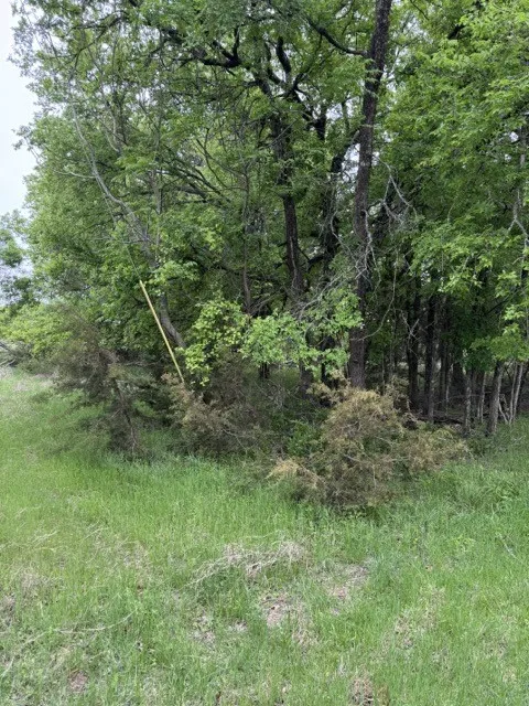 Unimproved Land For Sale in Hill County , 17082 Faircrest Drive, Whitney, Texas 76692, 0, 0, Garage spaces, 0 Sqft, built in 0, mls#21396630, Real Estate Agent in Whitney, Homes For Sale in Hill county, Homes For Sale in Whitney, Realtor in Whitney Texas, Real Estate Brokerage Independent Realty Texas, Luminita Cordes Realtor