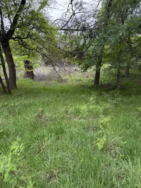 Unimproved Land For Sale in Hill County , 17082 Faircrest Drive, Whitney, Texas 76692, 0, 0, Garage spaces, 0 Sqft, built in 0, mls#21396630, Real Estate Agent in Whitney, Homes For Sale in Hill county, Homes For Sale in Whitney, Realtor in Whitney Texas, Real Estate Brokerage Independent Realty Texas, Luminita Cordes Realtor