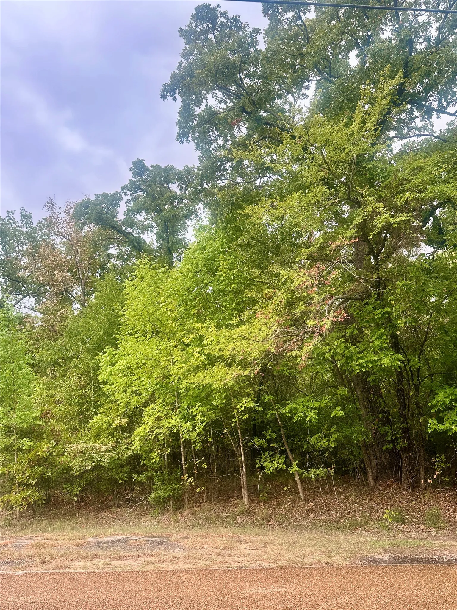 Unimproved Land For Sale in Henderson County , 0 Alamo Road, Log Cabin, Texas 75148, 0, 0, Garage spaces, 0 Sqft, built in 0, mls#21396920, Real Estate Agent in Log Cabin, Homes For Sale in Henderson county, Homes For Sale in Log Cabin, Realtor in Log Cabin Texas, Real Estate Brokerage Independent Realty Texas, Luminita Cordes Realtor