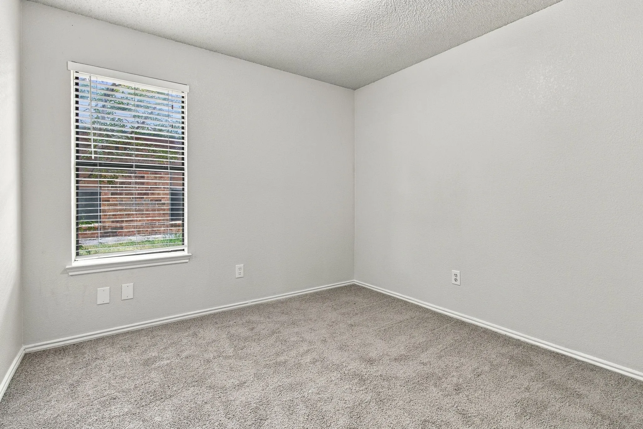 Wall-to-wall carpeting, light-colored walls, window with blinds, and white trim