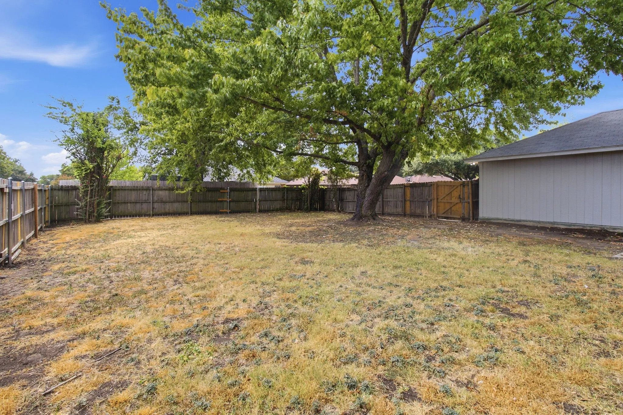 Expansive rear yard featuring a large mature tree and full perimeter wood fencing