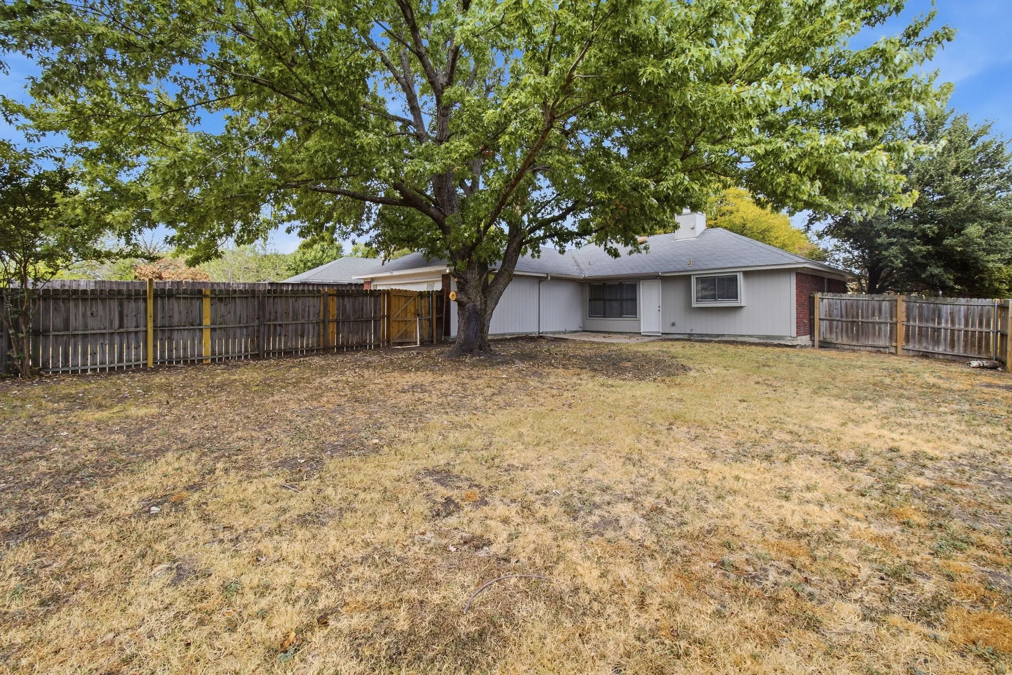 Fenced backyard with mature tree, featuring a single-story residence with a gray exterior and shingle roof