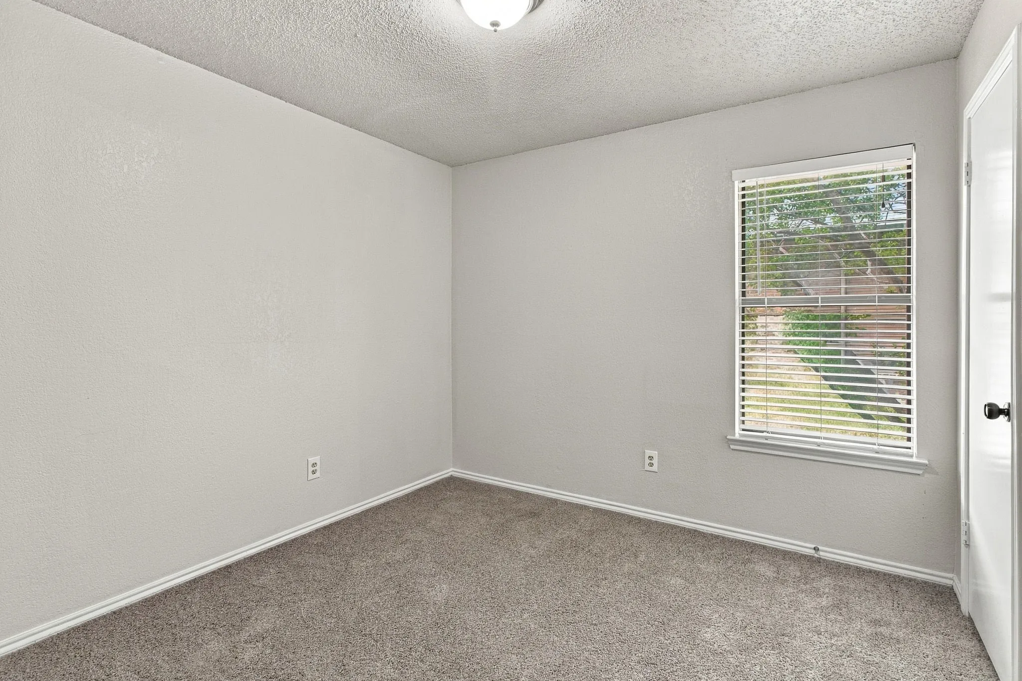 Neutral wall finish, ceiling-mounted light fixture, window with blinds, and carpeting
