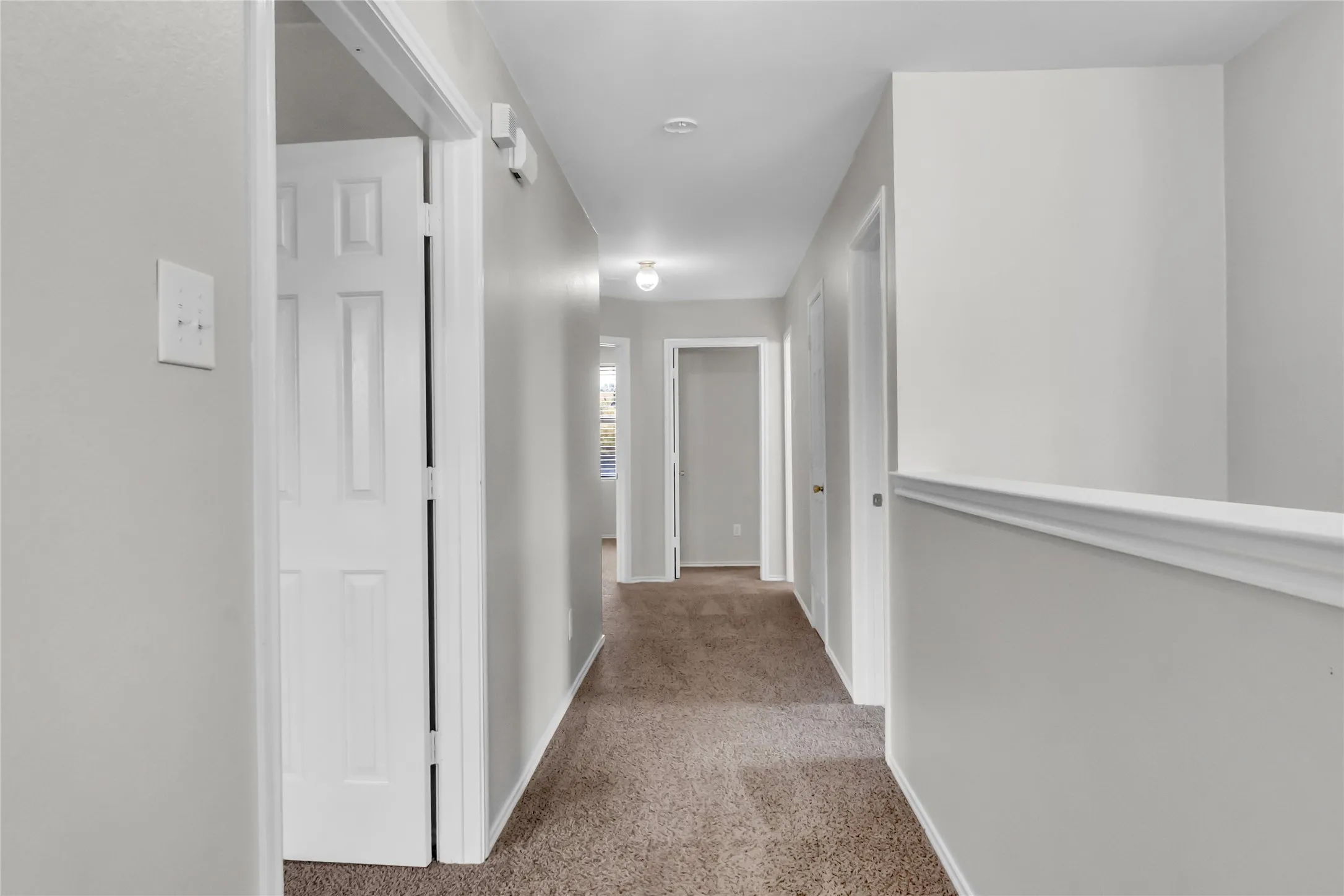Hallway featuring neutral wall paint, carpet flooring, a white panel door, and white trim