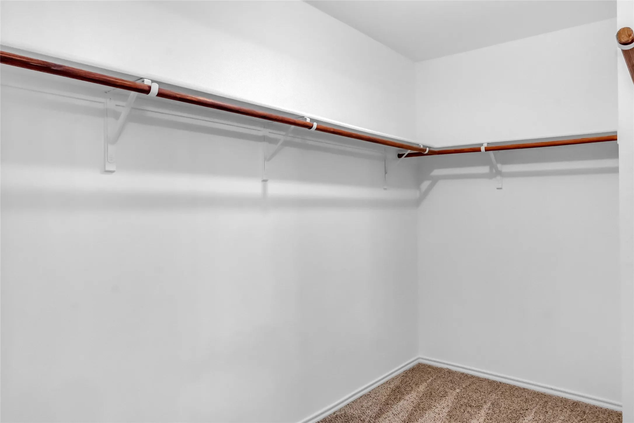 Walk-in closet with wall-mounted shelving and clothing rods