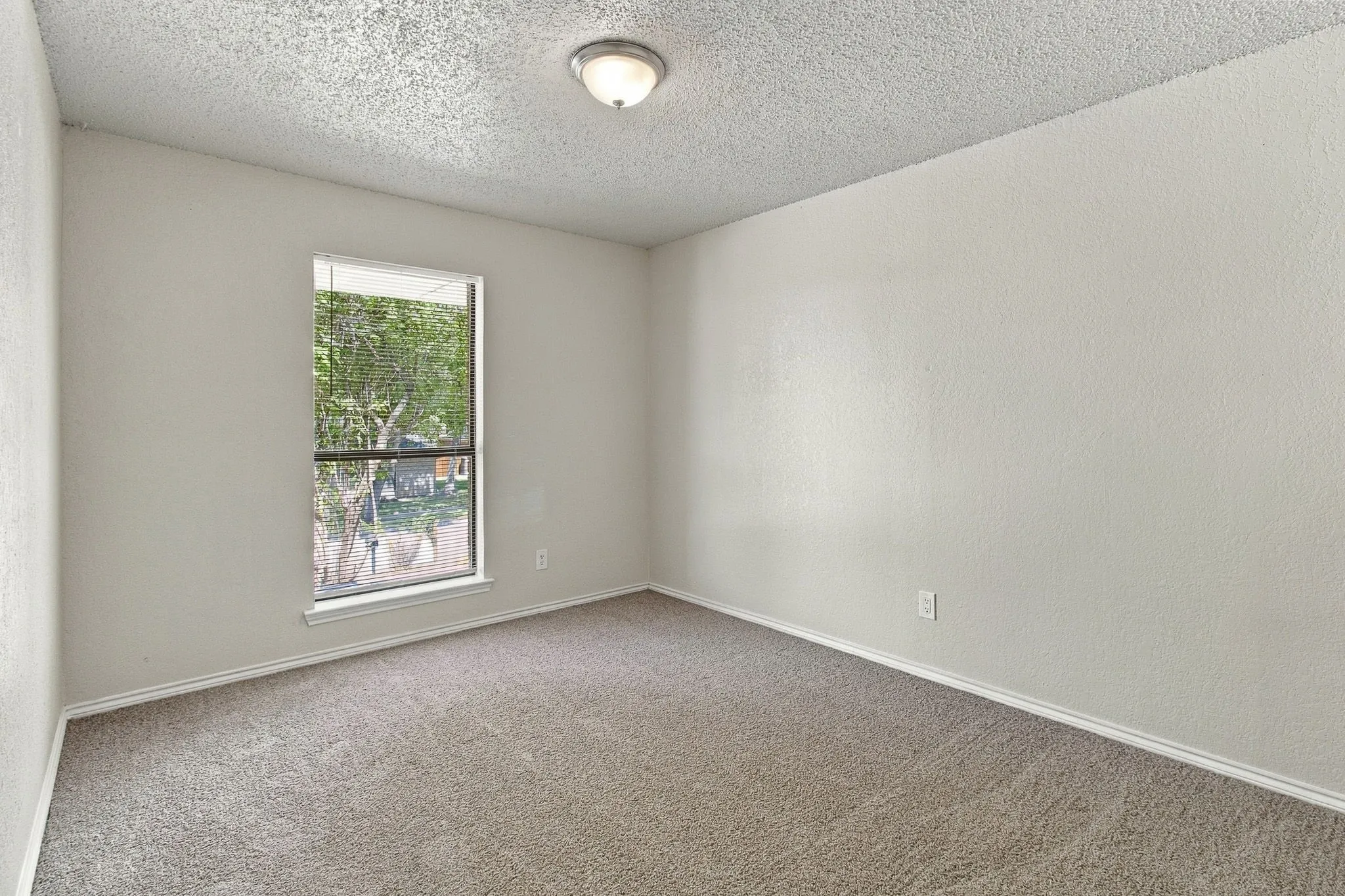Neutral-toned carpet flooring