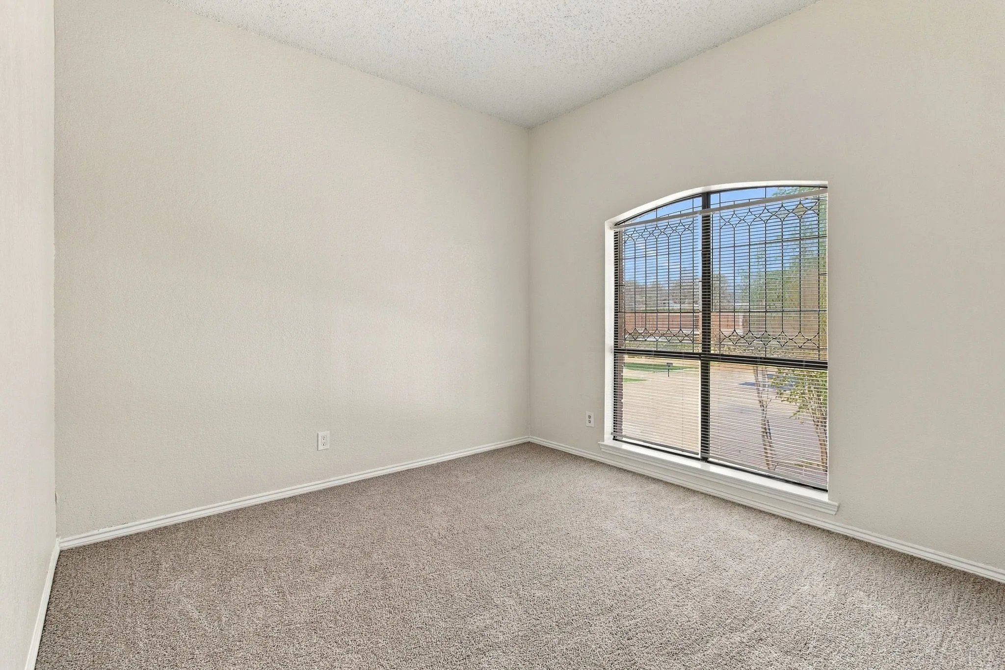 Arched window with decorative security bars, neutral-toned carpeting, and light-colored walls