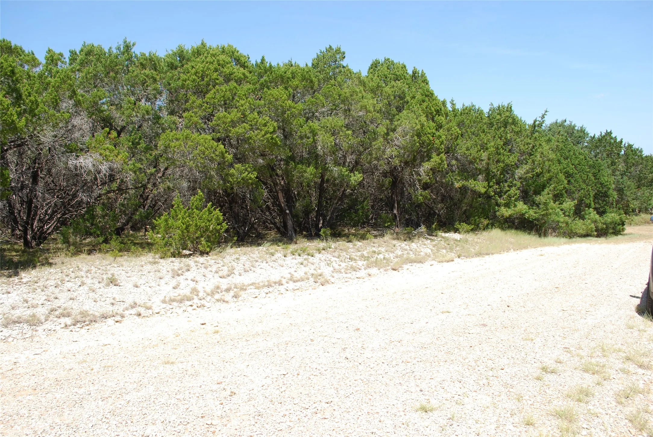 Unimproved Land For Sale in Hill County , 1702 Shadow Rock Court, Whitney, Texas 76692, 0, 0, Garage spaces, 0 Sqft, built in 0, mls#21367852, Real Estate Agent in Whitney, Homes For Sale in Hill county, Homes For Sale in Whitney, Realtor in Whitney Texas, Real Estate Brokerage Independent Realty Texas, Luminita Cordes Realtor