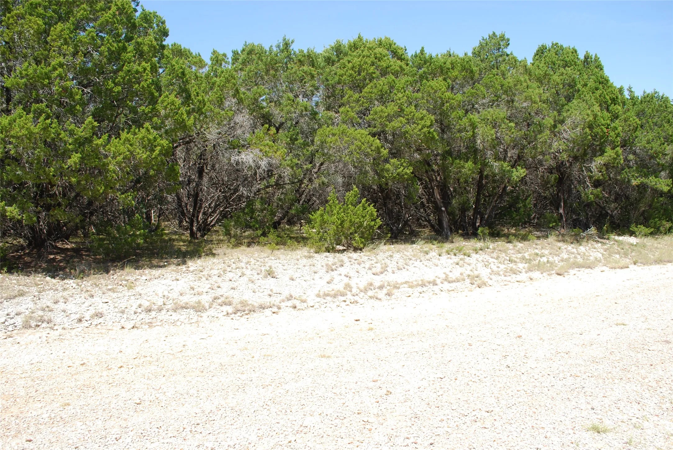 Unimproved Land For Sale in Hill County , 1702 Shadow Rock Court, Whitney, Texas 76692, 0, 0, Garage spaces, 0 Sqft, built in 0, mls#21367852, Real Estate Agent in Whitney, Homes For Sale in Hill county, Homes For Sale in Whitney, Realtor in Whitney Texas, Real Estate Brokerage Independent Realty Texas, Luminita Cordes Realtor