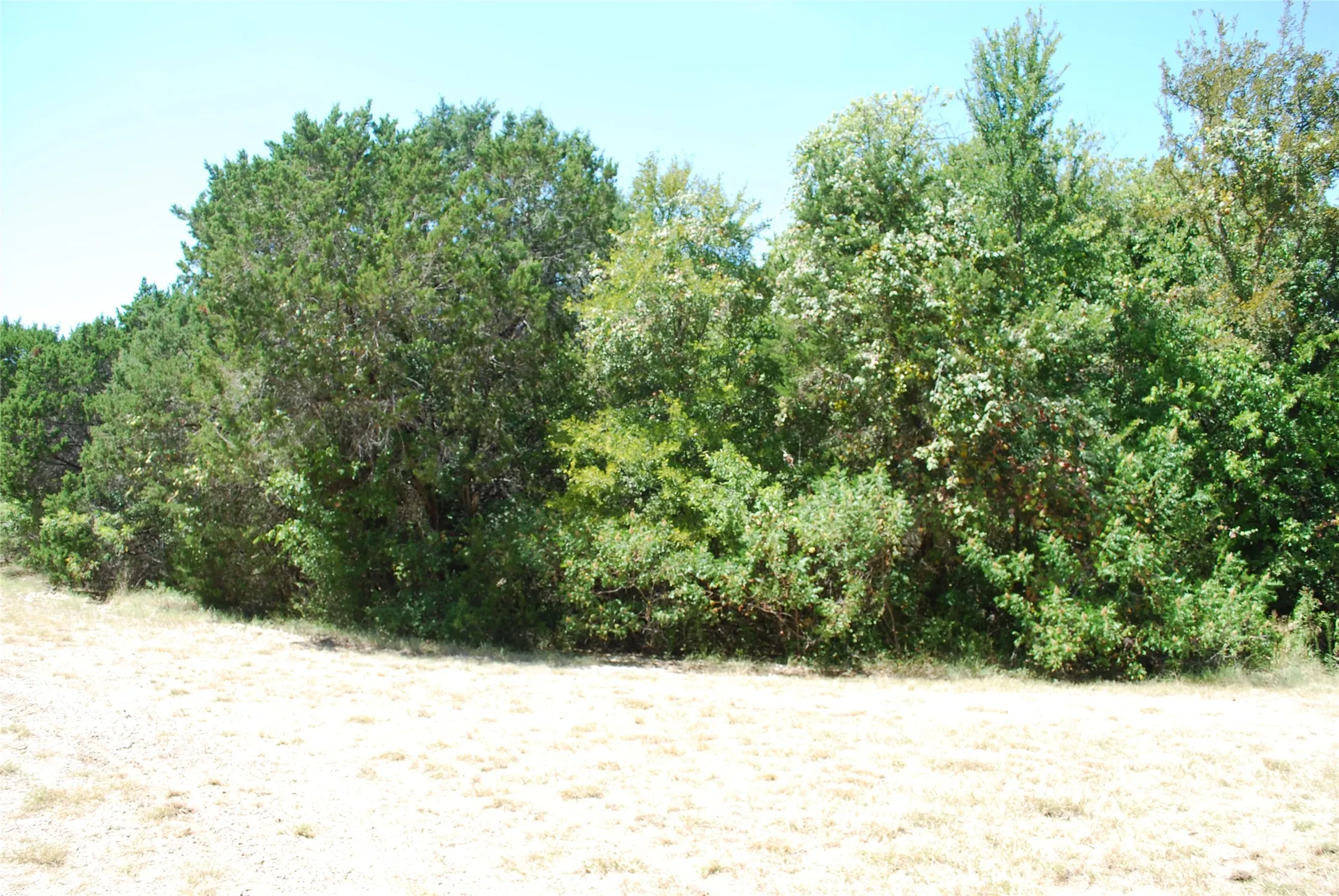 Unimproved Land For Sale in Hill County , 1702 Shadow Rock Court, Whitney, Texas 76692, 0, 0, Garage spaces, 0 Sqft, built in 0, mls#21367852, Real Estate Agent in Whitney, Homes For Sale in Hill county, Homes For Sale in Whitney, Realtor in Whitney Texas, Real Estate Brokerage Independent Realty Texas, Luminita Cordes Realtor
