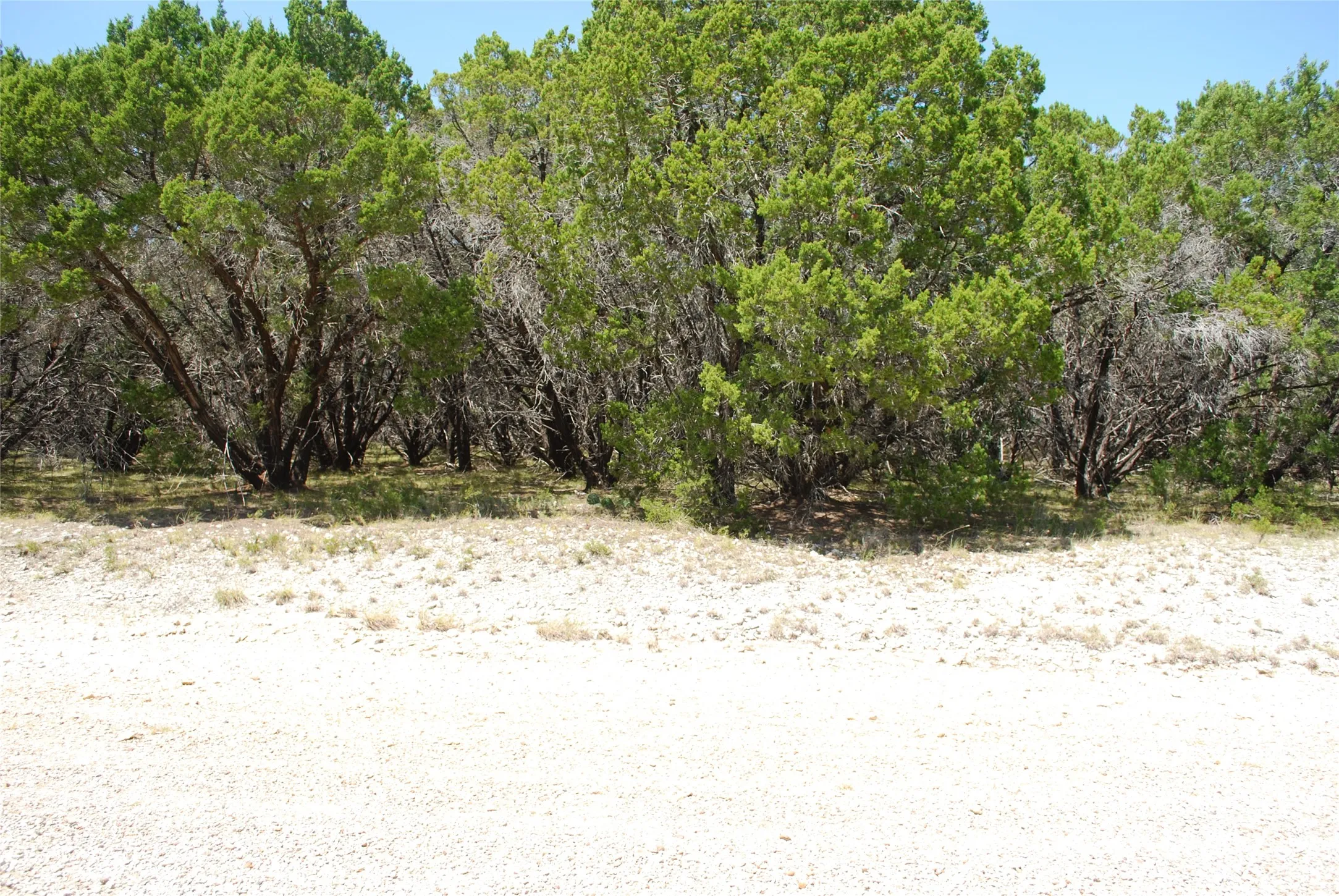 Unimproved Land For Sale in Hill County , 1702 Shadow Rock Court, Whitney, Texas 76692, 0, 0, Garage spaces, 0 Sqft, built in 0, mls#21367852, Real Estate Agent in Whitney, Homes For Sale in Hill county, Homes For Sale in Whitney, Realtor in Whitney Texas, Real Estate Brokerage Independent Realty Texas, Luminita Cordes Realtor