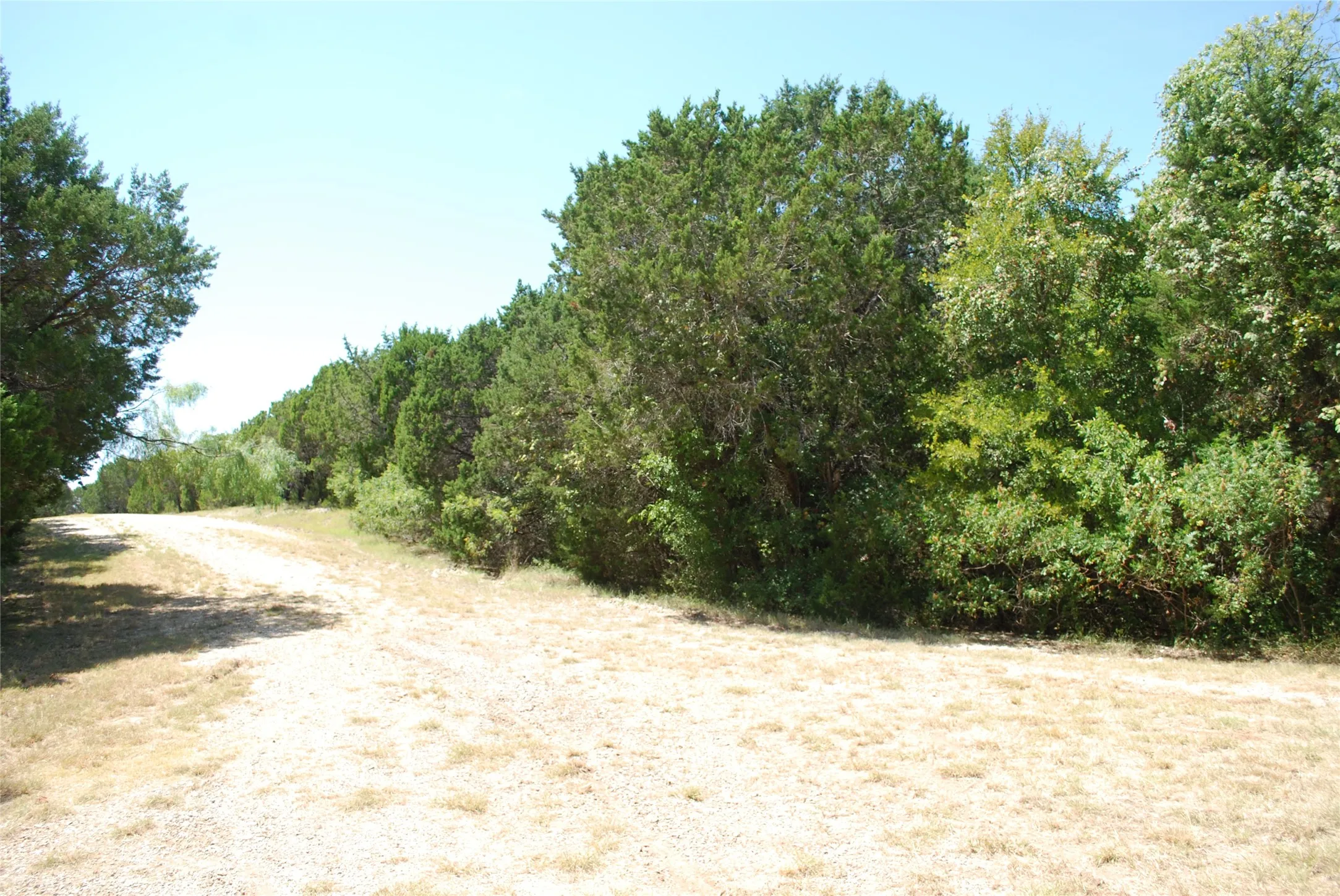 Unimproved Land For Sale in Hill County , 1702 Shadow Rock Court, Whitney, Texas 76692, 0, 0, Garage spaces, 0 Sqft, built in 0, mls#21367852, Real Estate Agent in Whitney, Homes For Sale in Hill county, Homes For Sale in Whitney, Realtor in Whitney Texas, Real Estate Brokerage Independent Realty Texas, Luminita Cordes Realtor