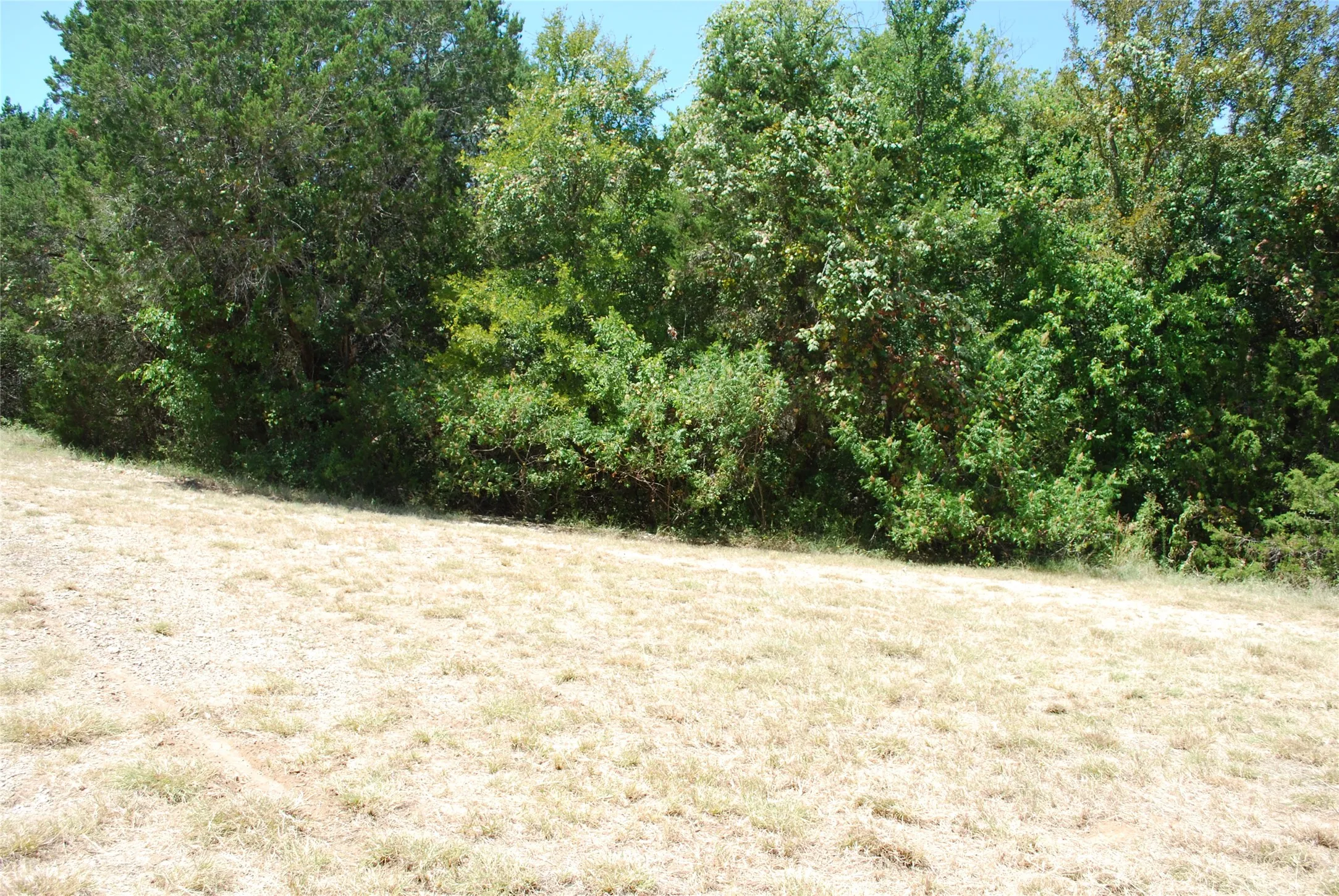 Unimproved Land For Sale in Hill County , 1702 Shadow Rock Court, Whitney, Texas 76692, 0, 0, Garage spaces, 0 Sqft, built in 0, mls#21367852, Real Estate Agent in Whitney, Homes For Sale in Hill county, Homes For Sale in Whitney, Realtor in Whitney Texas, Real Estate Brokerage Independent Realty Texas, Luminita Cordes Realtor