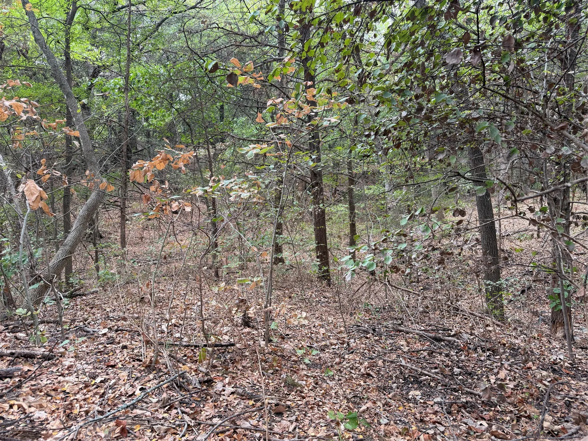 Single Family Residence For Sale in Grayson County , 129 Old Ida Road, Sherman, Texas 75090, 5 Bedroom, 2 Bathroom, Garage spaces, 2,436 Sqft, built in 1984, mls#21401147, Real Estate Agent in Sherman, Homes For Sale in Grayson county, Homes For Sale in Sherman, Realtor in Sherman Texas, Real Estate Brokerage Independent Realty Texas, Luminita Cordes Realtor