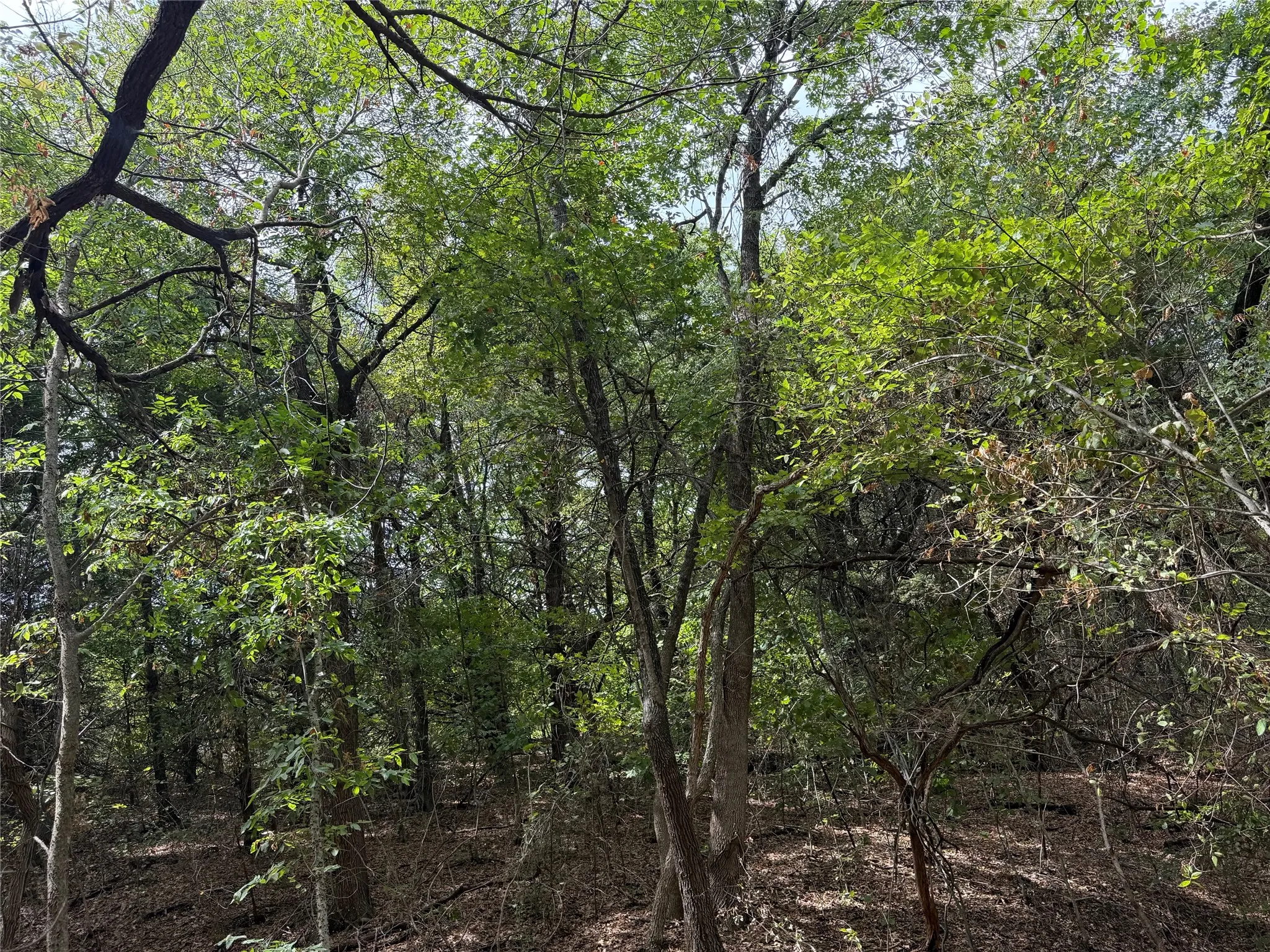 Single Family Residence For Sale in Grayson County , 129 Old Ida Road, Sherman, Texas 75090, 5 Bedroom, 2 Bathroom, Garage spaces, 2,436 Sqft, built in 1984, mls#21401147, Real Estate Agent in Sherman, Homes For Sale in Grayson county, Homes For Sale in Sherman, Realtor in Sherman Texas, Real Estate Brokerage Independent Realty Texas, Luminita Cordes Realtor