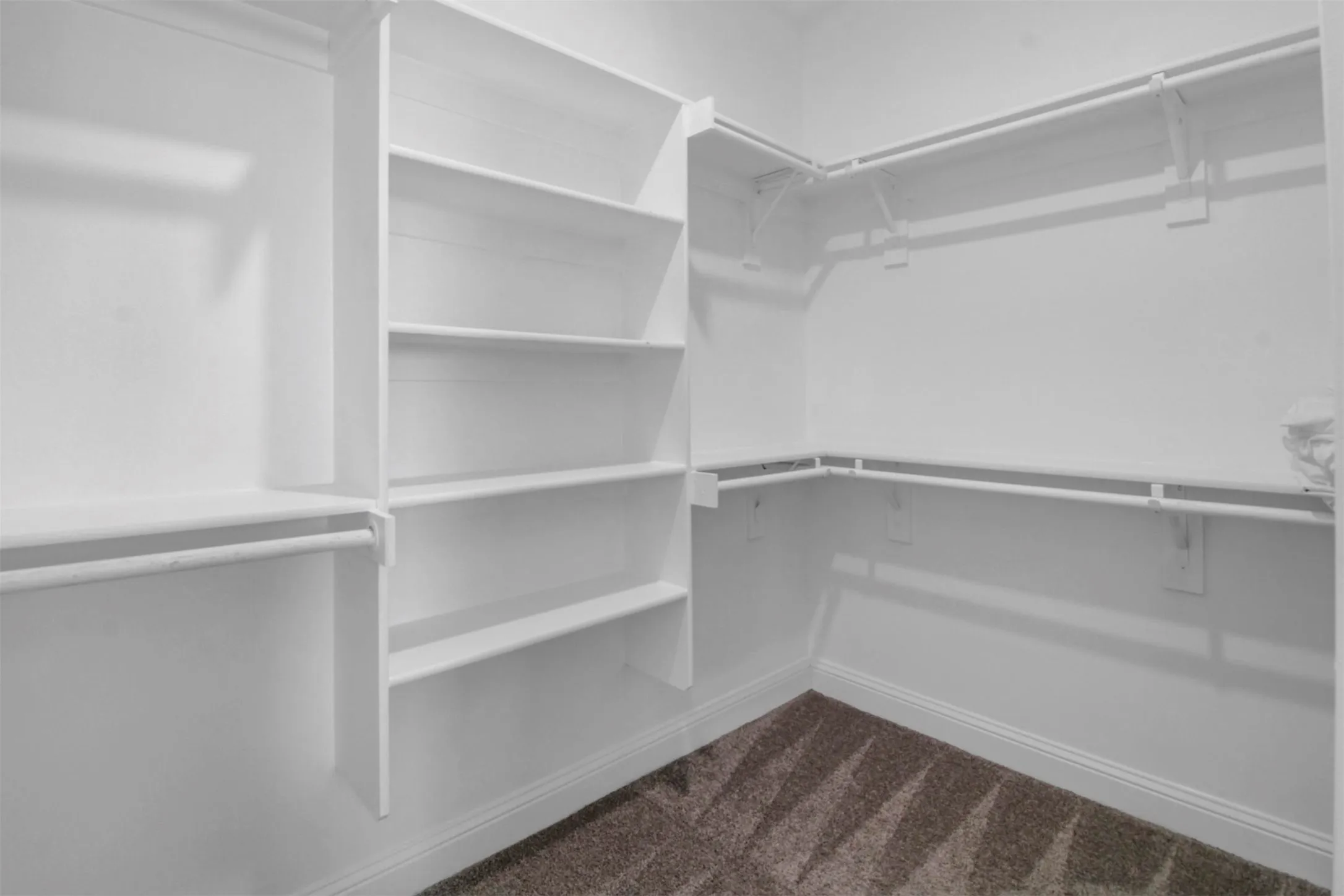 Walk-in closet featuring built-in shelving, multiple hanging rods, and carpeting