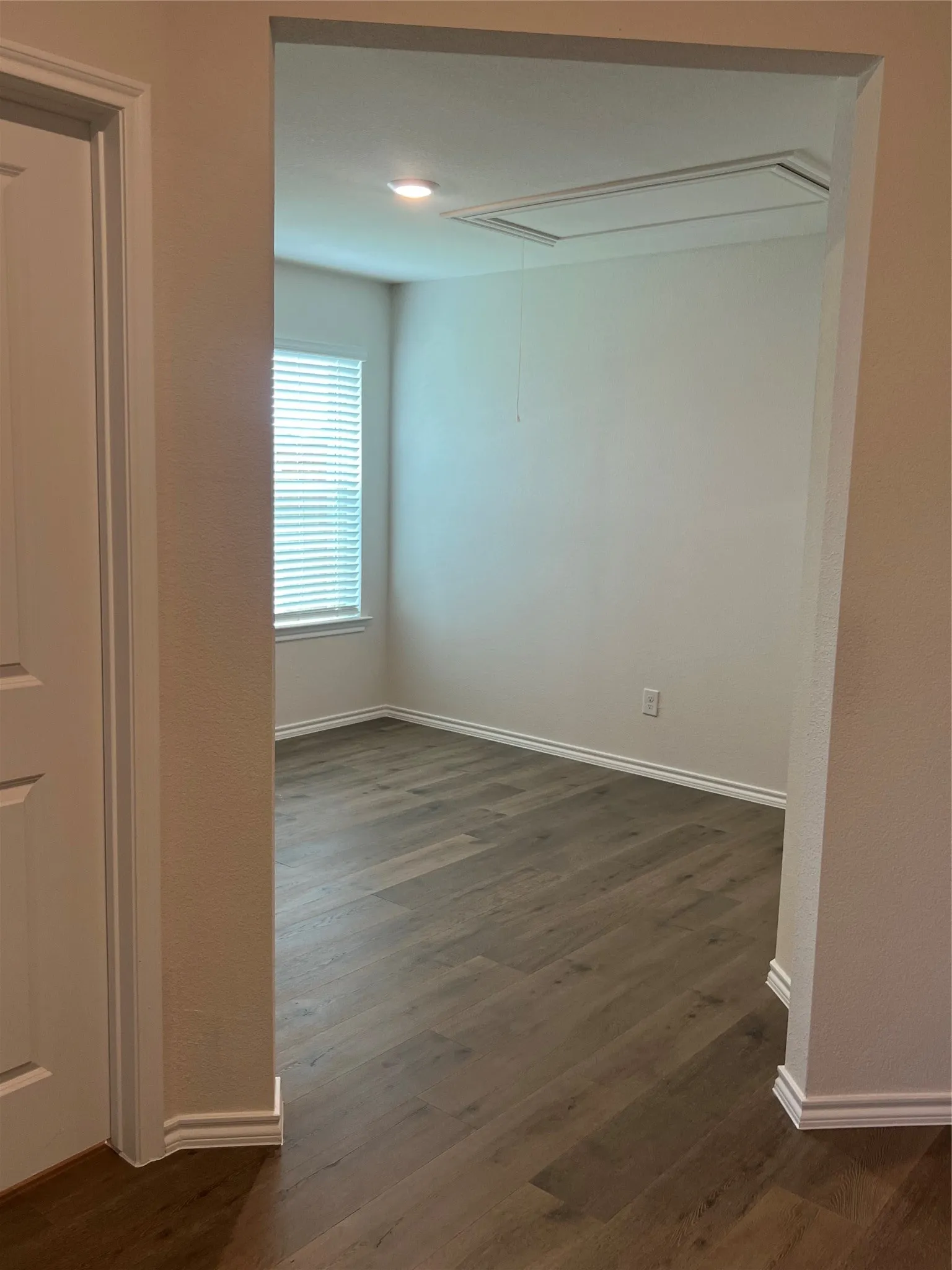 Flex space featuring dvinyl floors and attic access