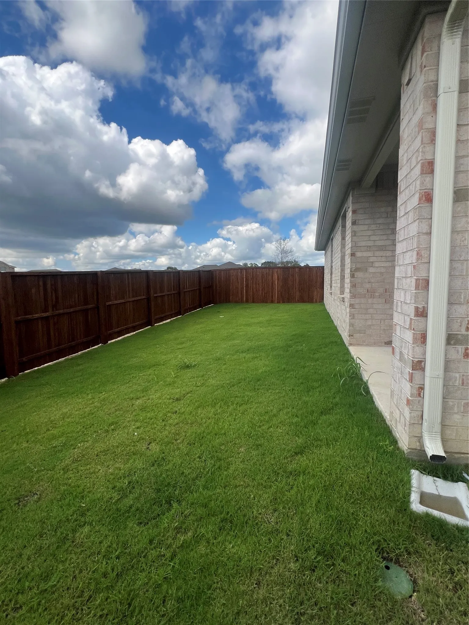 View of fenced backyard