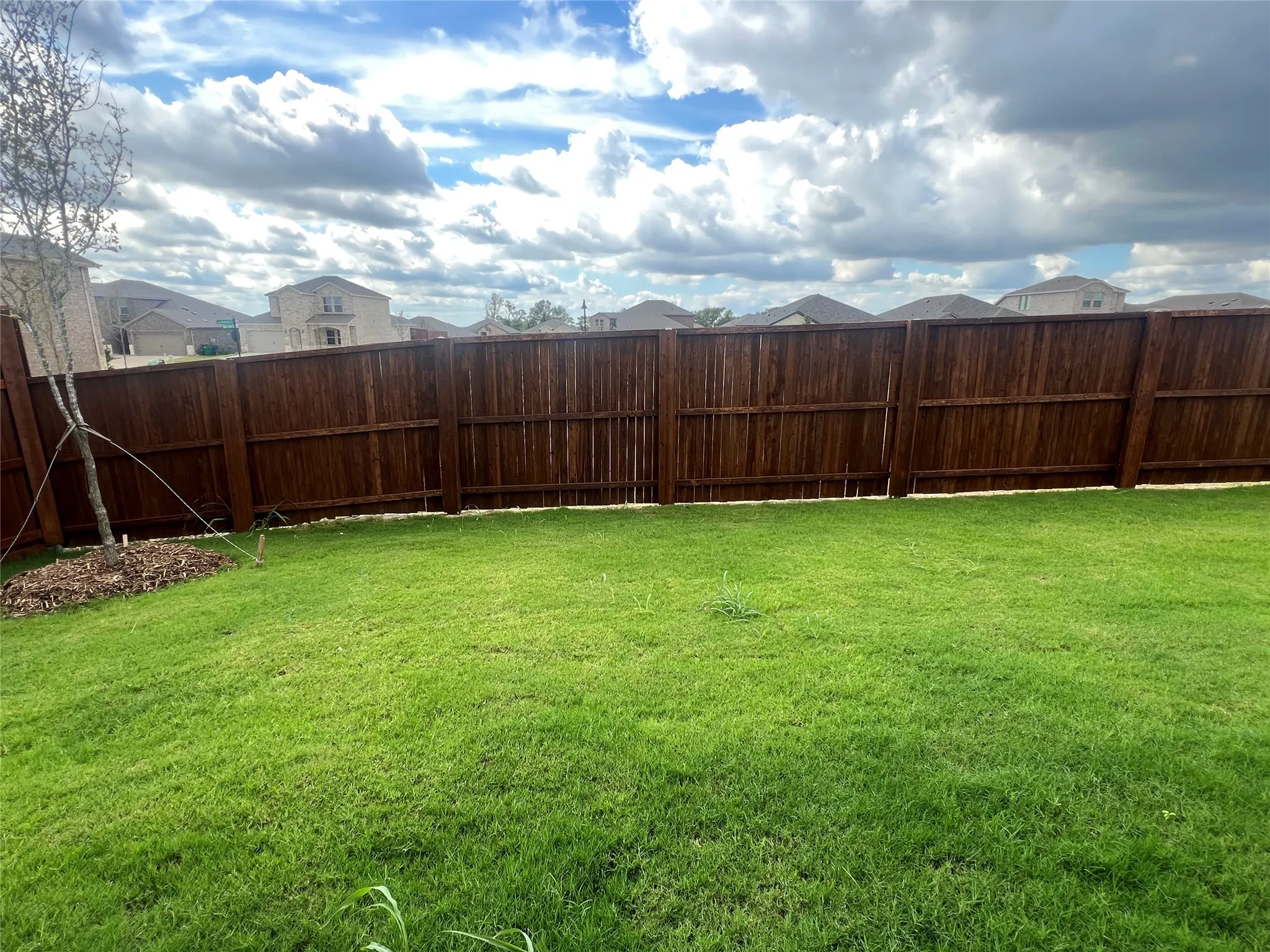 spacious yard